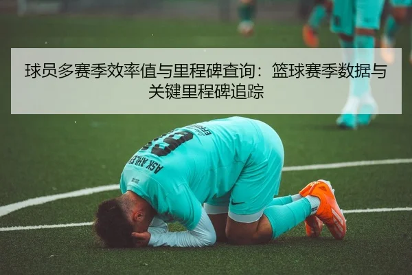 球员多赛季效率值与里程碑查询：篮球赛季数据与关键里程碑追踪